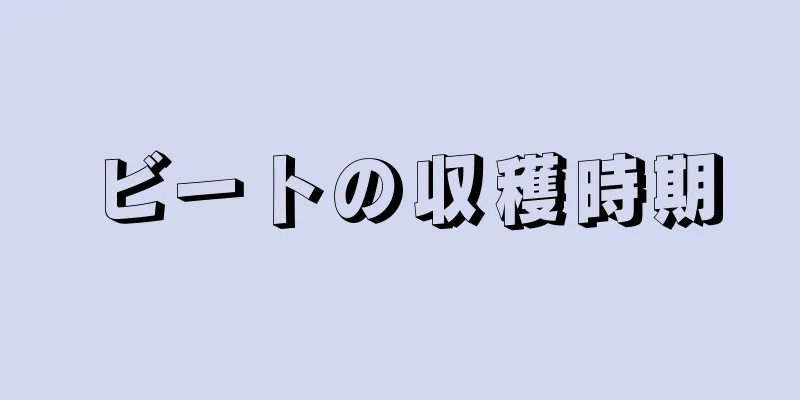 ビートの収穫時期