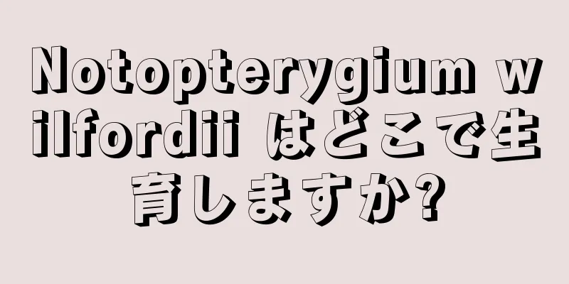 Notopterygium wilfordii はどこで生育しますか?