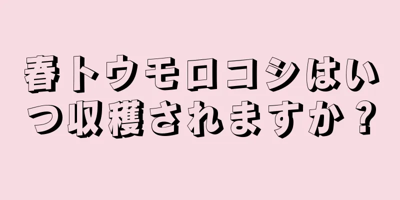 春トウモロコシはいつ収穫されますか？