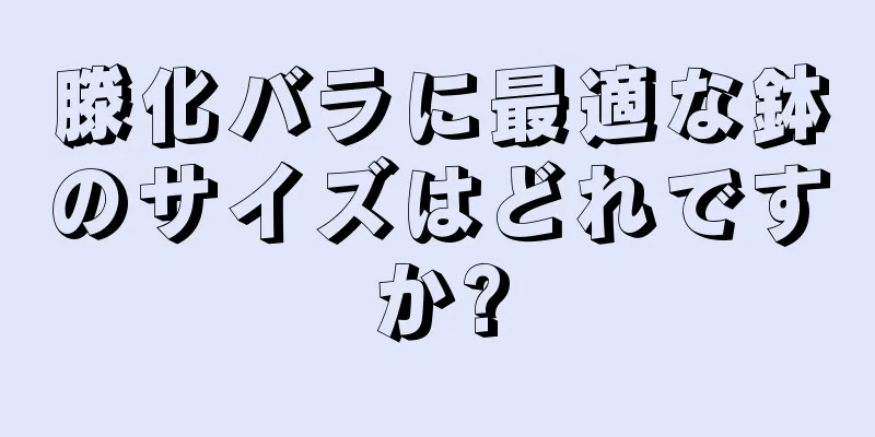 滕化バラに最適な鉢のサイズはどれですか?