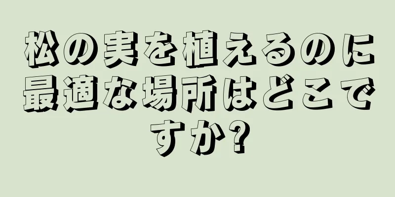 松の実を植えるのに最適な場所はどこですか?