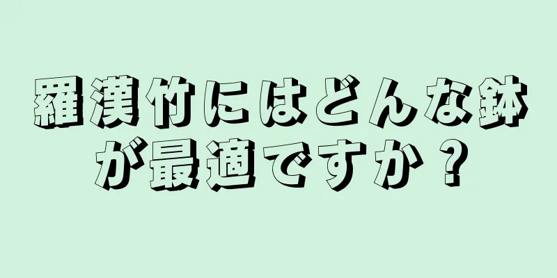 羅漢竹にはどんな鉢が最適ですか？