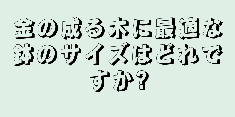 金の成る木に最適な鉢のサイズはどれですか?