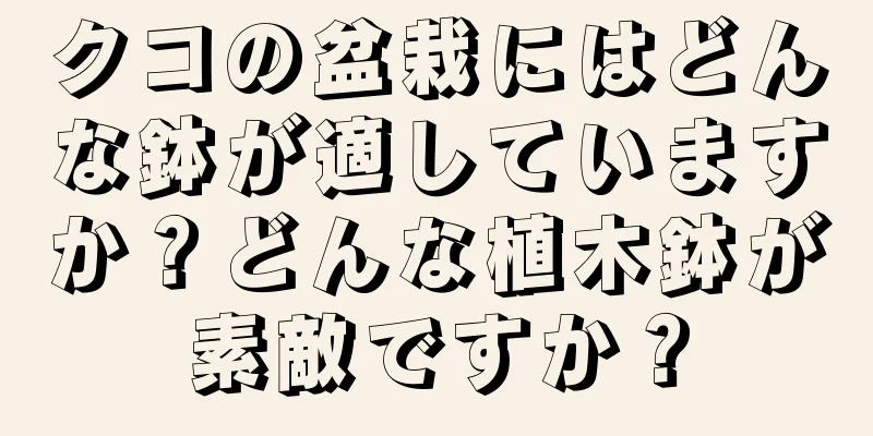 クコの盆栽にはどんな鉢が適していますか？どんな植木鉢が素敵ですか？