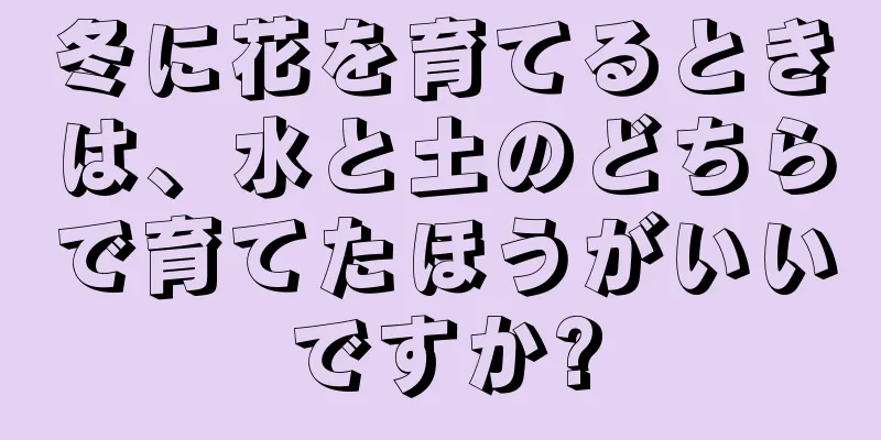 冬に花を育てるときは、水と土のどちらで育てたほうがいいですか?