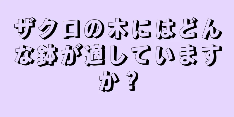 ザクロの木にはどんな鉢が適していますか？