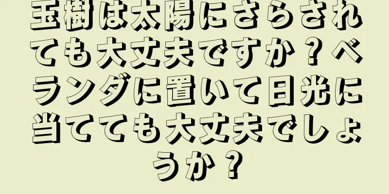 玉樹は太陽にさらされても大丈夫ですか？ベランダに置いて日光に当てても大丈夫でしょうか？