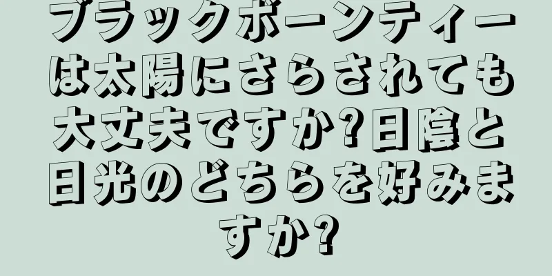 ブラックボーンティーは太陽にさらされても大丈夫ですか?日陰と日光のどちらを好みますか?