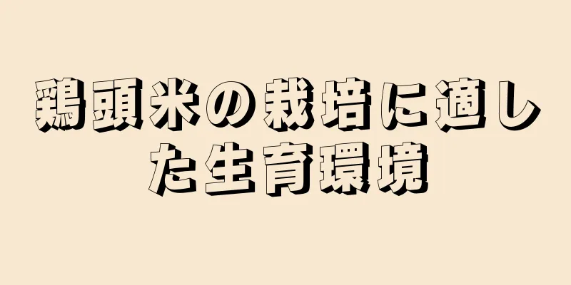 鶏頭米の栽培に適した生育環境