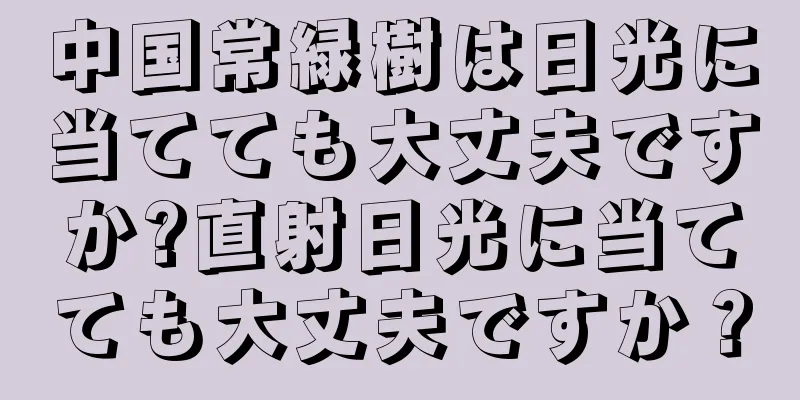 中国常緑樹は日光に当てても大丈夫ですか?直射日光に当てても大丈夫ですか？