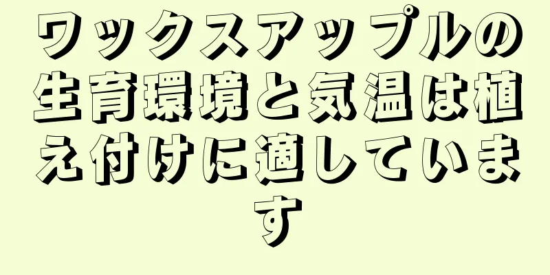 ワックスアップルの生育環境と気温は植え付けに適しています