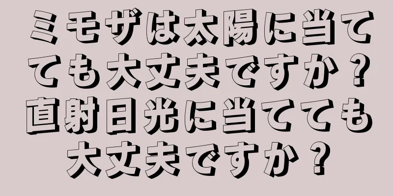 ミモザは太陽に当てても大丈夫ですか？直射日光に当てても大丈夫ですか？