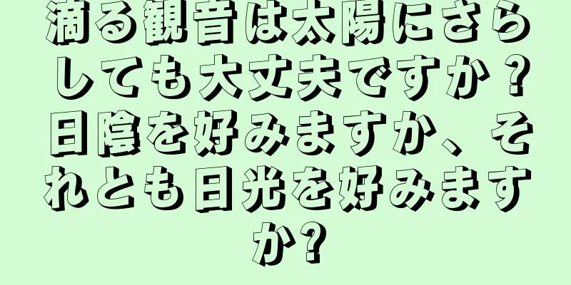 滴る観音は太陽にさらしても大丈夫ですか？日陰を好みますか、それとも日光を好みますか?