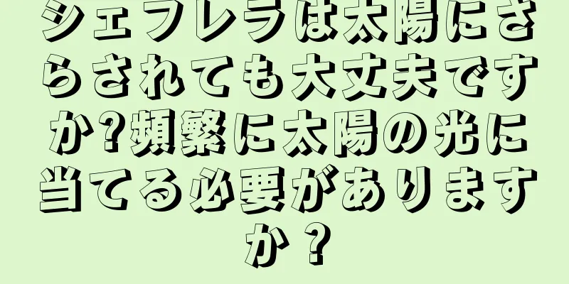 シェフレラは太陽にさらされても大丈夫ですか?頻繁に太陽の光に当てる必要がありますか？