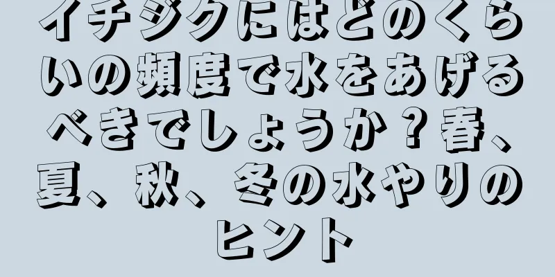 イチジクにはどのくらいの頻度で水をあげるべきでしょうか？春、夏、秋、冬の水やりのヒント