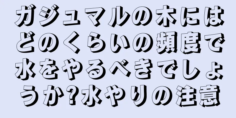 ガジュマルの木にはどのくらいの頻度で水をやるべきでしょうか?水やりの注意