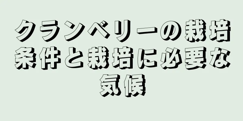 クランベリーの栽培条件と栽培に必要な気候