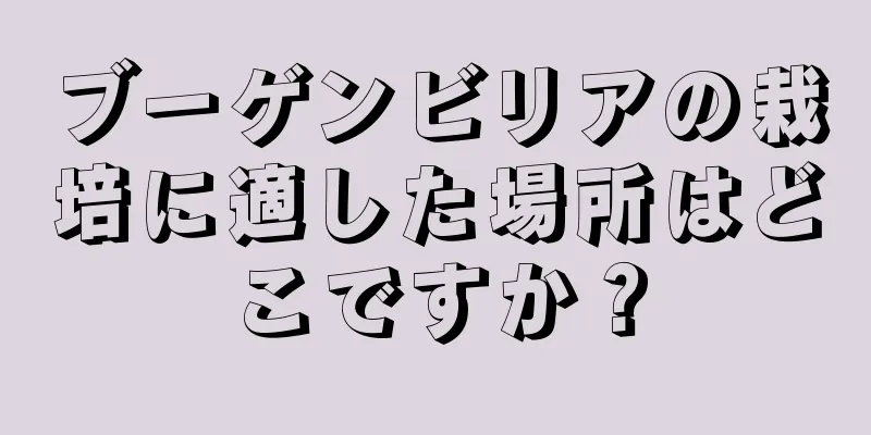 ブーゲンビリアの栽培に適した場所はどこですか？