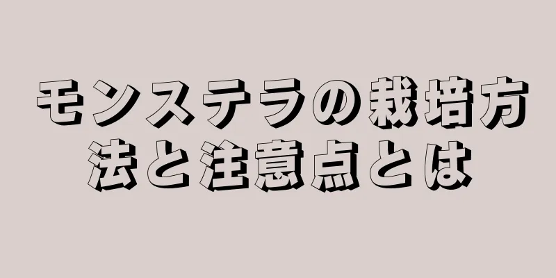 モンステラの栽培方法と注意点とは