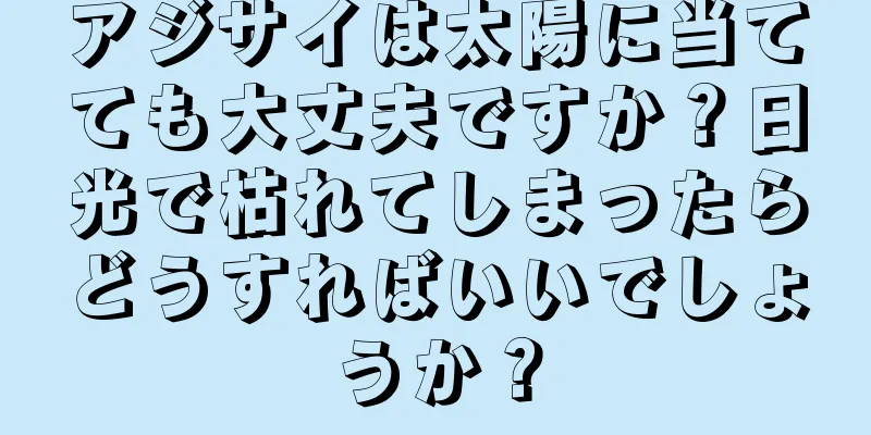 アジサイは太陽に当てても大丈夫ですか？日光で枯れてしまったらどうすればいいでしょうか？