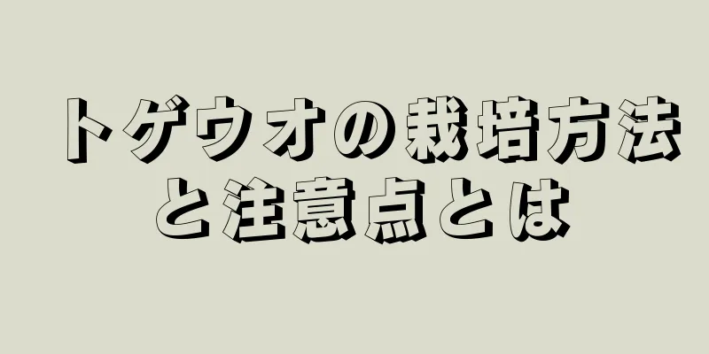 トゲウオの栽培方法と注意点とは