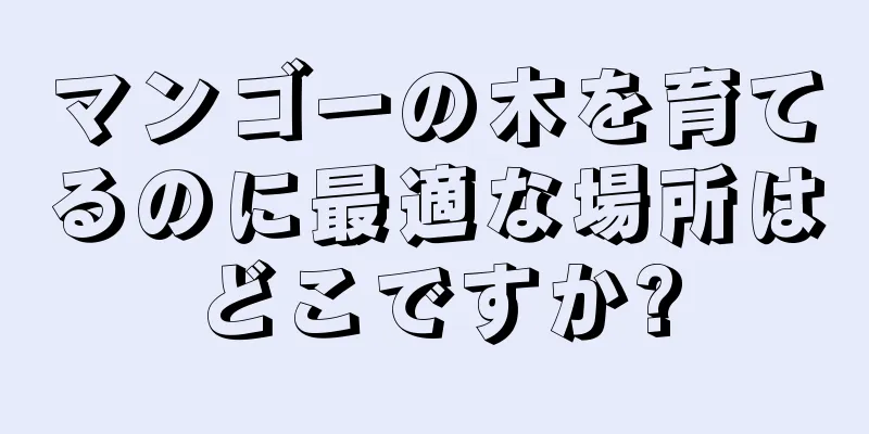 マンゴーの木を育てるのに最適な場所はどこですか?
