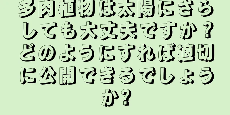 多肉植物は太陽にさらしても大丈夫ですか？どのようにすれば適切に公開できるでしょうか?