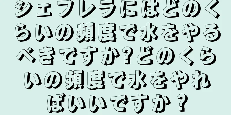 シェフレラにはどのくらいの頻度で水をやるべきですか?どのくらいの頻度で水をやればいいですか？