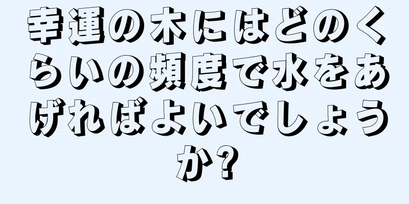 幸運の木にはどのくらいの頻度で水をあげればよいでしょうか?