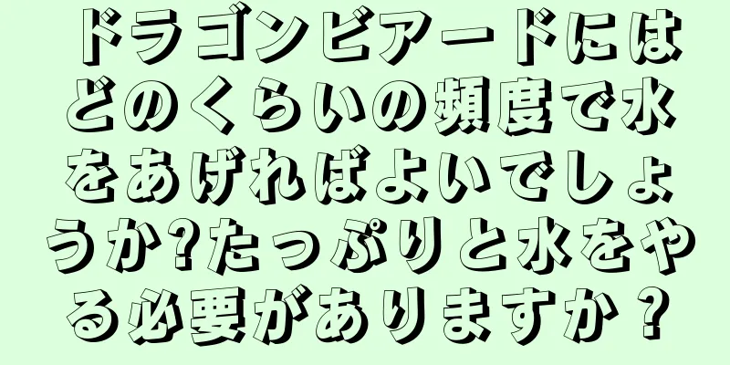 ドラゴンビアードにはどのくらいの頻度で水をあげればよいでしょうか?たっぷりと水をやる必要がありますか？