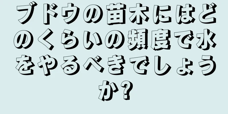 ブドウの苗木にはどのくらいの頻度で水をやるべきでしょうか?