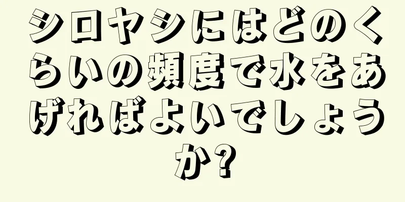 シロヤシにはどのくらいの頻度で水をあげればよいでしょうか?