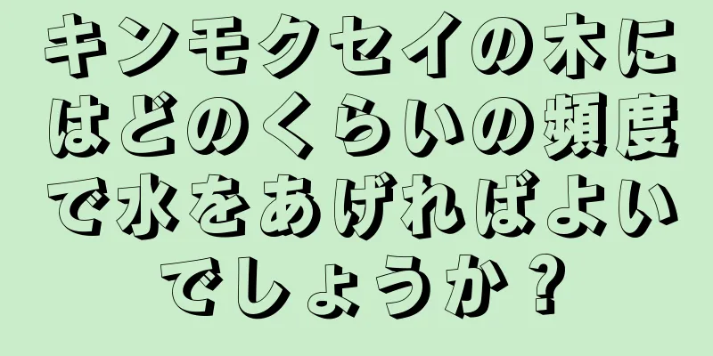 キンモクセイの木にはどのくらいの頻度で水をあげればよいでしょうか？