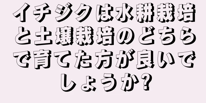 イチジクは水耕栽培と土壌栽培のどちらで育てた方が良いでしょうか?
