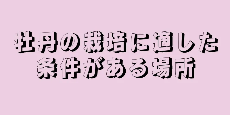 牡丹の栽培に適した条件がある場所