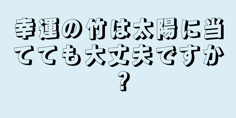 幸運の竹は太陽に当てても大丈夫ですか？