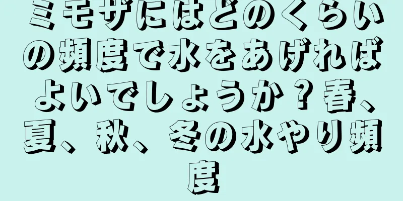 ミモザにはどのくらいの頻度で水をあげればよいでしょうか？春、夏、秋、冬の水やり頻度