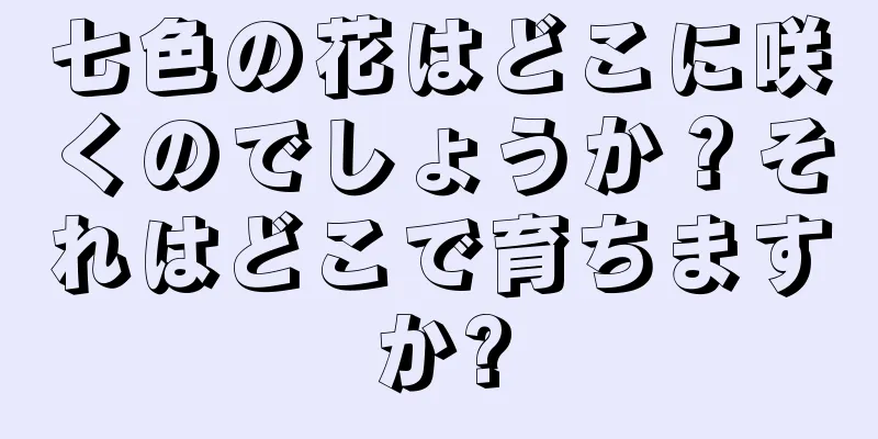 七色の花はどこに咲くのでしょうか？それはどこで育ちますか?