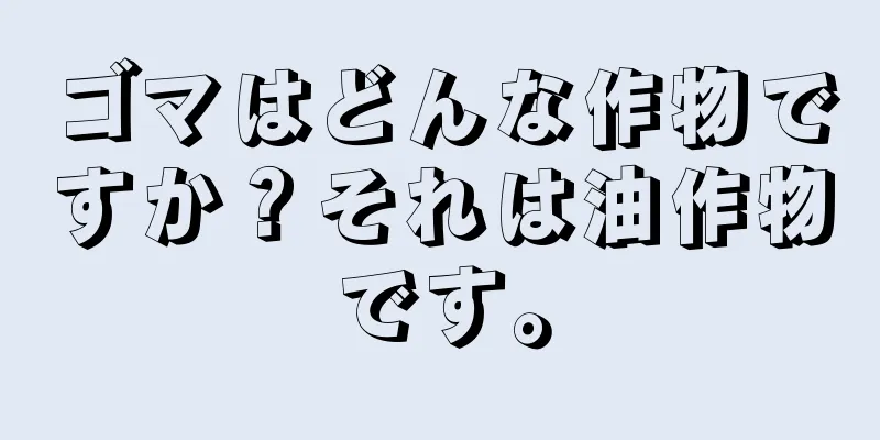 ゴマはどんな作物ですか？それは油作物です。