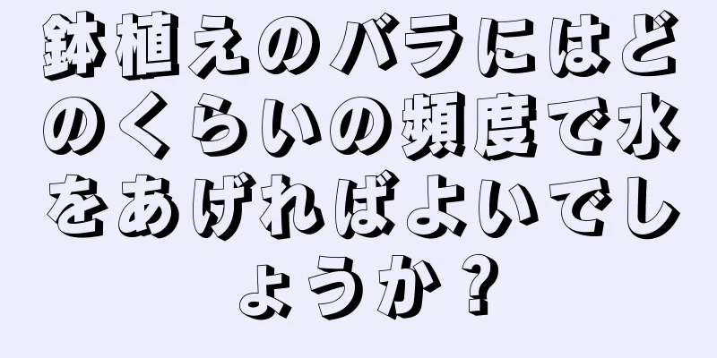 鉢植えのバラにはどのくらいの頻度で水をあげればよいでしょうか？