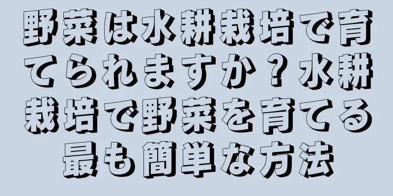 野菜は水耕栽培で育てられますか？水耕栽培で野菜を育てる最も簡単な方法