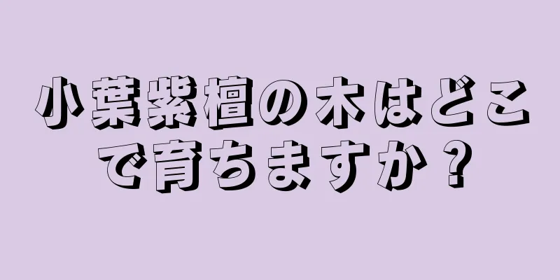 小葉紫檀の木はどこで育ちますか？