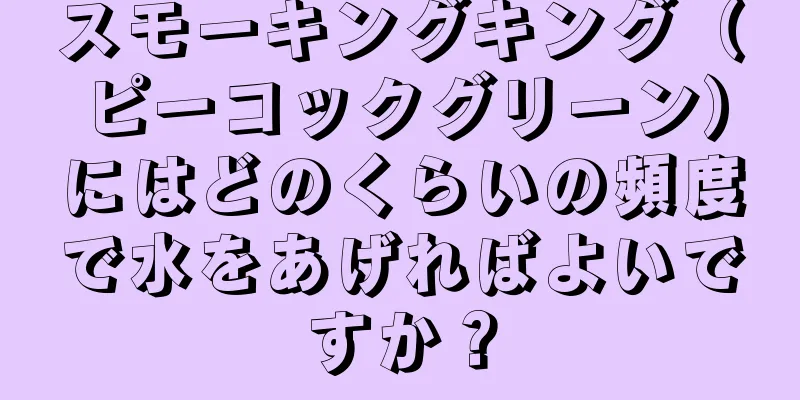 スモーキングキング（ピーコックグリーン）にはどのくらいの頻度で水をあげればよいですか？