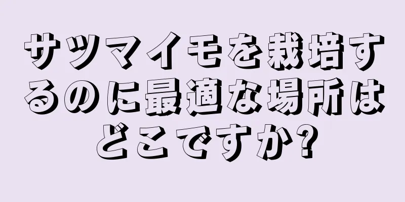 サツマイモを栽培するのに最適な場所はどこですか?