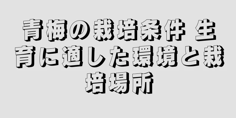 青梅の栽培条件 生育に適した環境と栽培場所