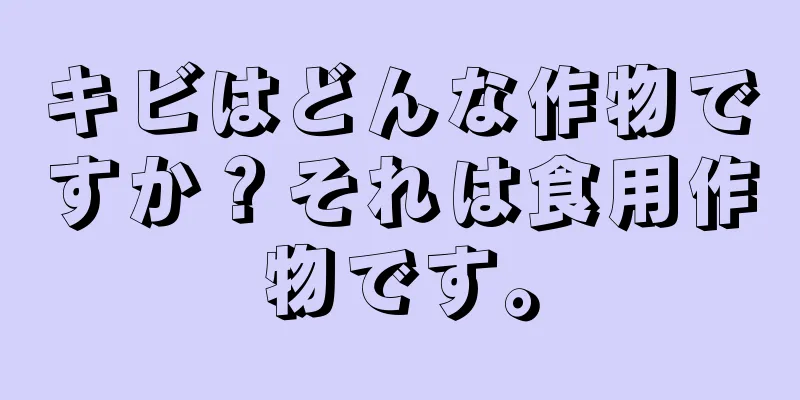 キビはどんな作物ですか？それは食用作物です。