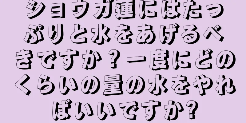 ショウガ蓮にはたっぷりと水をあげるべきですか？一度にどのくらいの量の水をやればいいですか?
