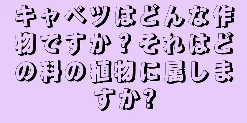 キャベツはどんな作物ですか？それはどの科の植物に属しますか?