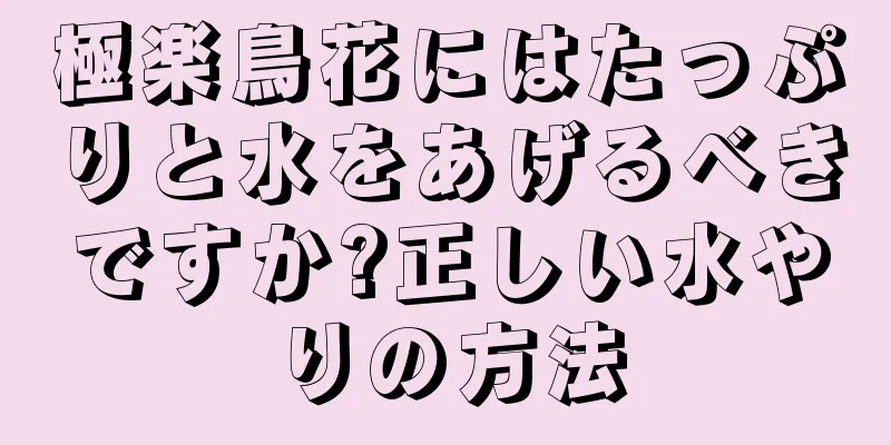極楽鳥花にはたっぷりと水をあげるべきですか?正しい水やりの方法