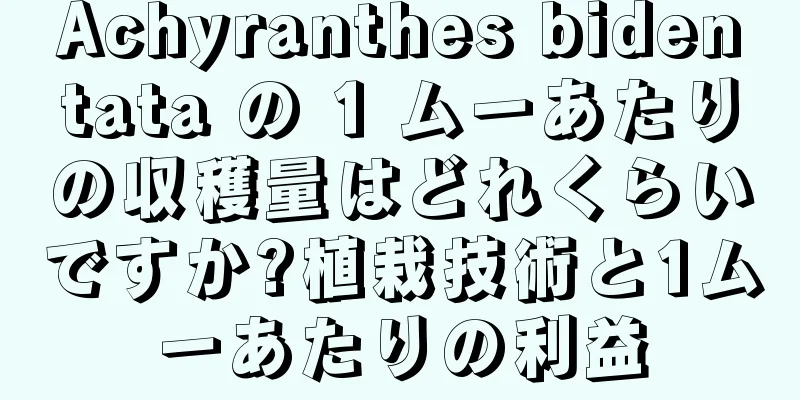 Achyranthes bidentata の 1 ムーあたりの収穫量はどれくらいですか?植栽技術と1ムーあたりの利益